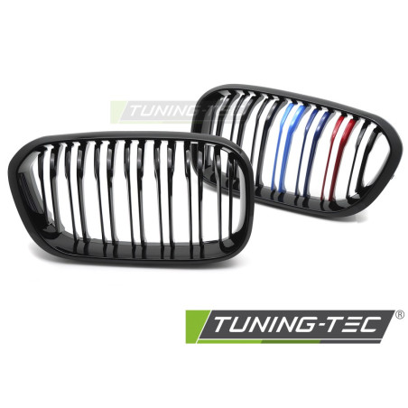 Griglia Frontale Nero Lucido Doppia Barra Nero per BMW F20/F21 Lci 2015-2018 (Cod. TT-GRBMG5)