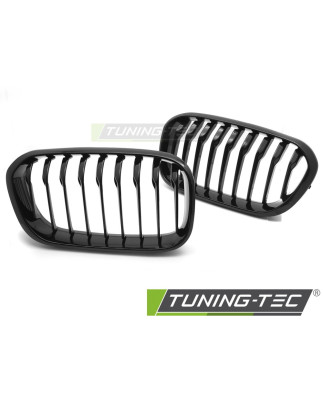 Griglia Frontale Nero Lucido Nero per BMW F20/F21 Lci 2015-2018 (Cod. TT-GRBMG6)