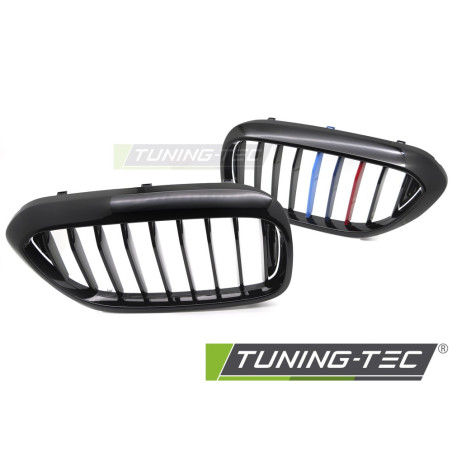 Griglia Frontale Nero Lucido Nero per BMW G30/G31 2017-2020 (Cod. TT-GRBMM8)