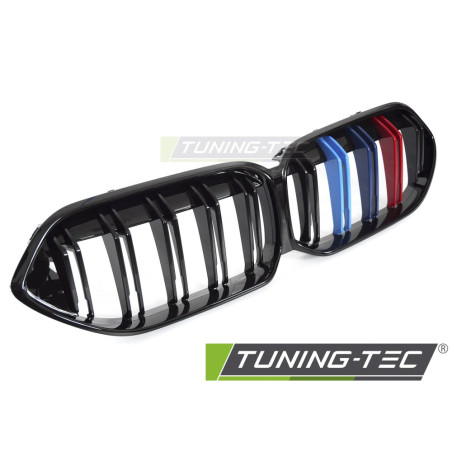 Griglia Frontale Nero Lucido Doppia Barra Nero per BMW F44 2019-2024 (Cod. TT-GRBMP9)