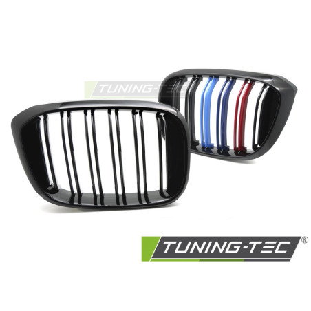 Griglia Frontale Doppia Barra Nero per BMW X3 G01 /x4 G02 18-21 2017-2021 (Cod. TT-GRBMW0)