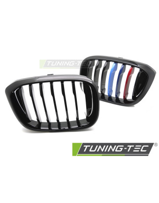 Griglia Frontale Nero per BMW X3 G01 /x4 G02 18-21 2017-2021 (Cod. TT-GRBMW3)