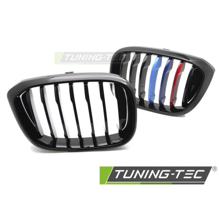 Griglia Frontale Nero per BMW X3 G01 /x4 G02 18-21 2017-2021 (Cod. TT-GRBMW3)