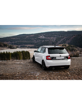 Skoda Fabia NJ R5 Edition Silenziatore posteriore – 1x100 Tipo 25 (Cod. F-SK051031-295)