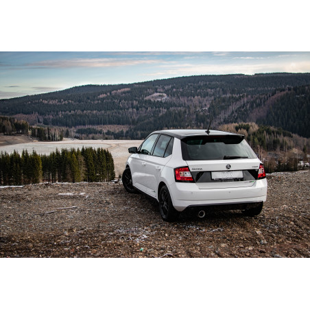 Skoda Fabia NJ R5 Edition Silenziatore posteriore – 1x100 Tipo 25 (Cod. F-SK051031-295)