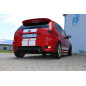 Ford Fiesta VI ST150 Silenziatore posteriore – 1x90 Tipo 13 (Cod. F-FO012001-071)