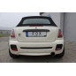 Mini One R57 – cabrio Silenziatore posteriore – 1x100 Tipo 25 (Cod. F-MN021041-293)