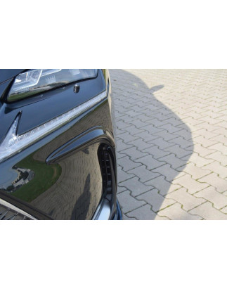Cornici fari Lexus NX Mk1 (Cod. M-LE-NX-1-FV1G)