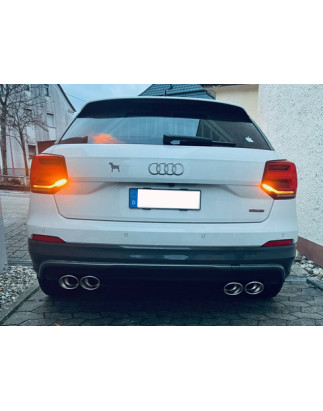 Audi Q2 Silenziatore posteriore con uscite destra e sinistra (duplex)x115x85 Tipo 32 r (Cod. F-AU170