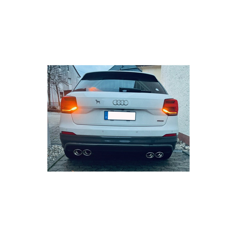 Audi Q2 Silenziatore posteriore con uscite destra e sinistra (duplex)x115x85 Tipo 32 r (Cod. F-AU170