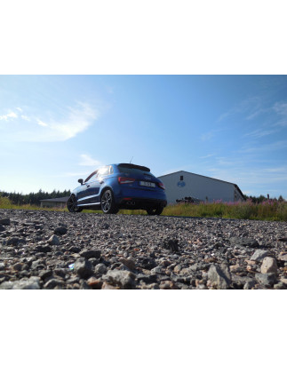Audi S1 quattro Silenziatore posteriore con uscite destra e sinistra (duplex)x90 Tipo 1 (Cod. F-AU14