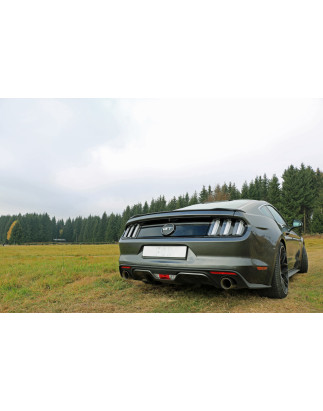 Ford Mustang coupé & cabrio – 6/8-cilindri Silenziatore posteriore ri (Cod. F-FO141003-293)