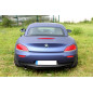 BMW Z4 E89 – sDrive 35i Silenziatore posteriore destra e sinistra – 1x100 ty (Cod. F-BM081013-29