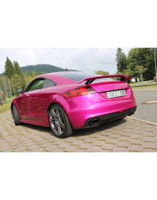 Audi TT 8J RS Silenziatore posteriore con exit destra e sinistra and (Cod. F-AU091055-ANL)