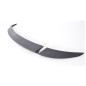 Spoiler baule 3 pezzi audi a6 c6 berlina  (Cod. TF-BFT01429)