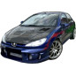Paraurti anteriore Peugeot 206 Spyder (Cod. O-FB339)