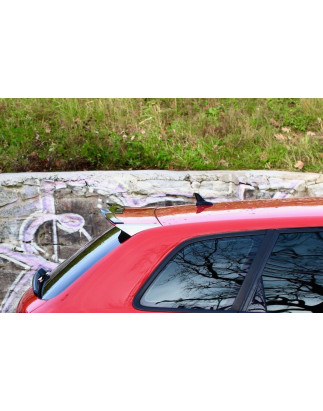 SPOILER CAP Audi RS3 8P (Cod. M-AU-RS3-8P-CAP1G)
