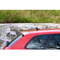 SPOILER CAP Audi RS3 8P (Cod. M-AU-RS3-8P-CAP1G)