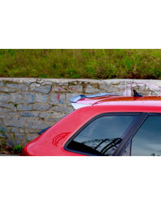 SPOILER CAP Audi RS3 8P (Cod. M-AU-RS3-8P-CAP1G)