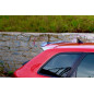 SPOILER CAP Audi RS3 8P (Cod. M-AU-RS3-8P-CAP1G)