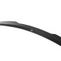 SPOILER CAP Audi RS5 Mk1 (8T) Facelift (Cod. M-AU-RS5-1F-CAP1G)