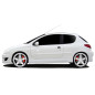 Minigonne Peugeot 206 Drifz (Cod. O-SS103)