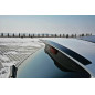 SPOILER CAP KIA PRO CEE'D GT MK2 (Cod. M-KI-CE-2-GT-CAP1G)