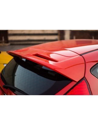 Spoiler tetto Ford Fiesta 08+ ST (Cod. O-AL008)