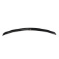 SPOILER CAP Lexus IS Mk2 (Cod. M-LE-IS-2-CAP1G)