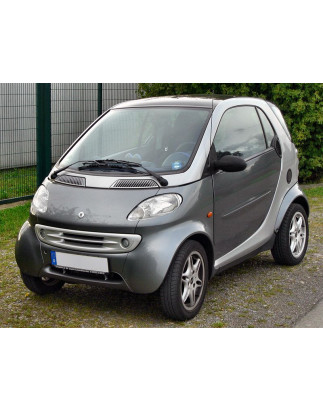 Parafanghi anteriori Smart For Two 1G (coppia) (Cod. O-FF001)
