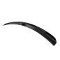SPOILER CAP Lexus IS Mk2 (Cod. M-LE-IS-2-CAP1G)