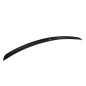 SPOILER CAP Lexus IS Mk2 (Cod. M-LE-IS-2-CAP1G)