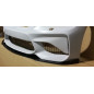Lama sottoparaurti anteriore BMW E90 M2 (Cod. O-BL018)