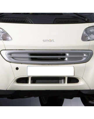 Griglia anteriore Smart For Two 1G Brabus (Cod. O-GR002)