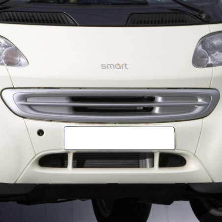 Griglia anteriore Smart For Two 1G Brabus (Cod. O-GR002)
