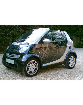 Griglia anteriore Smart For Two (Cod. O-GR003)