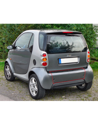 Pannello centrale posteriore Smart For Two 1G/2G (Cod. O-GR005)