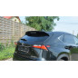 Spoiler Cap Lexus NX Preface/Facelift (Cod. M-LE-NX-1-CAP1G)