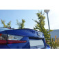 SPOILER CAP Lexus RC F (Cod. M-LE-RCF-1-CAP1G)