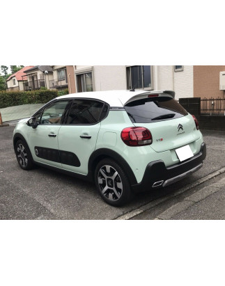Spoiler sul tetto Citroen C3 Mk3 (2017-) primerizzato (Cod. MDA-453P)