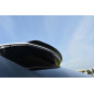 SPOILER CAP Lexus RX Mk4 (Cod. M-LE-RX-4-CAP1G)