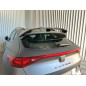 Spoiler per tetto Cupra Formentor Mk1 (2020-) nero lucido (Cod. MDA-514L)