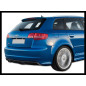 Spoiler Posteriore Audi A3 8P Sportback S3 (Cod. E-TCA0070)