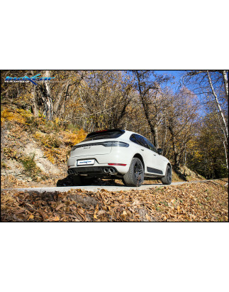 Posteriore senza silenziatore DX+SX + Valvola con montaggio motorino elettrico di serie - 2022 265CV