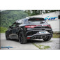Tubo intermedio – 2019 300CV Renault MEGANE IV (Cod. I-TIMEG.06)