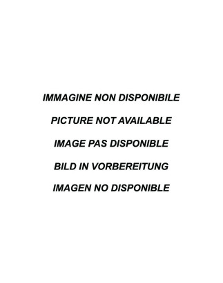 Terminale silenziato dx+sx AUDI Q2 40TFSi 2.0 – 2021 SQ2 (Cod. I-OVQ2.01)