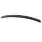 Spoiler Cap Audi S6 C5 berlina (Cod. M-AU-S6-C5-CAP1G)