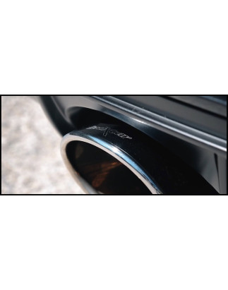 Posteriore con uscita ovale 150x105mm OBLIQUA AUDI RS Q3 2.5 TFSI – 2014 310CV (Type 8U) (Cod. I-A