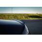 Spoiler Cap Audi A6 S-Line C6 FL berlina (Cod. M-AU-A6-C6F-SLINE-CAP1G)