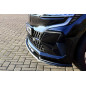 Spoiler paraurti anteriore in abs Renault Megane E-Tech Elektric Typ: RCB (Cod. IN-INE-10200031CE-AB